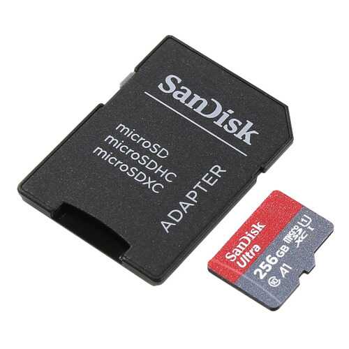 Карта памяти SanDisk Micro SDHC Ultra SDSQUAR-256G-GN6MA 256GB в Теле2